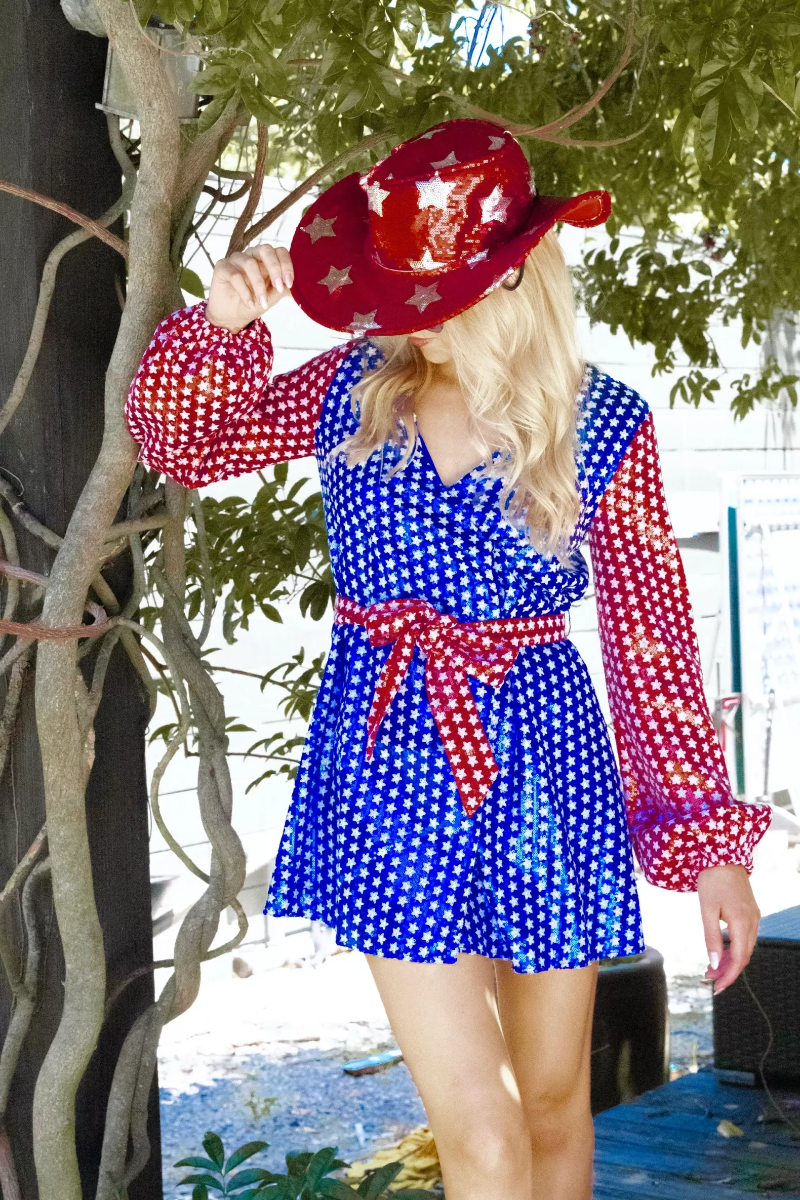 Queen of Sparkles Dresses<Red, White & Blue Star Dress