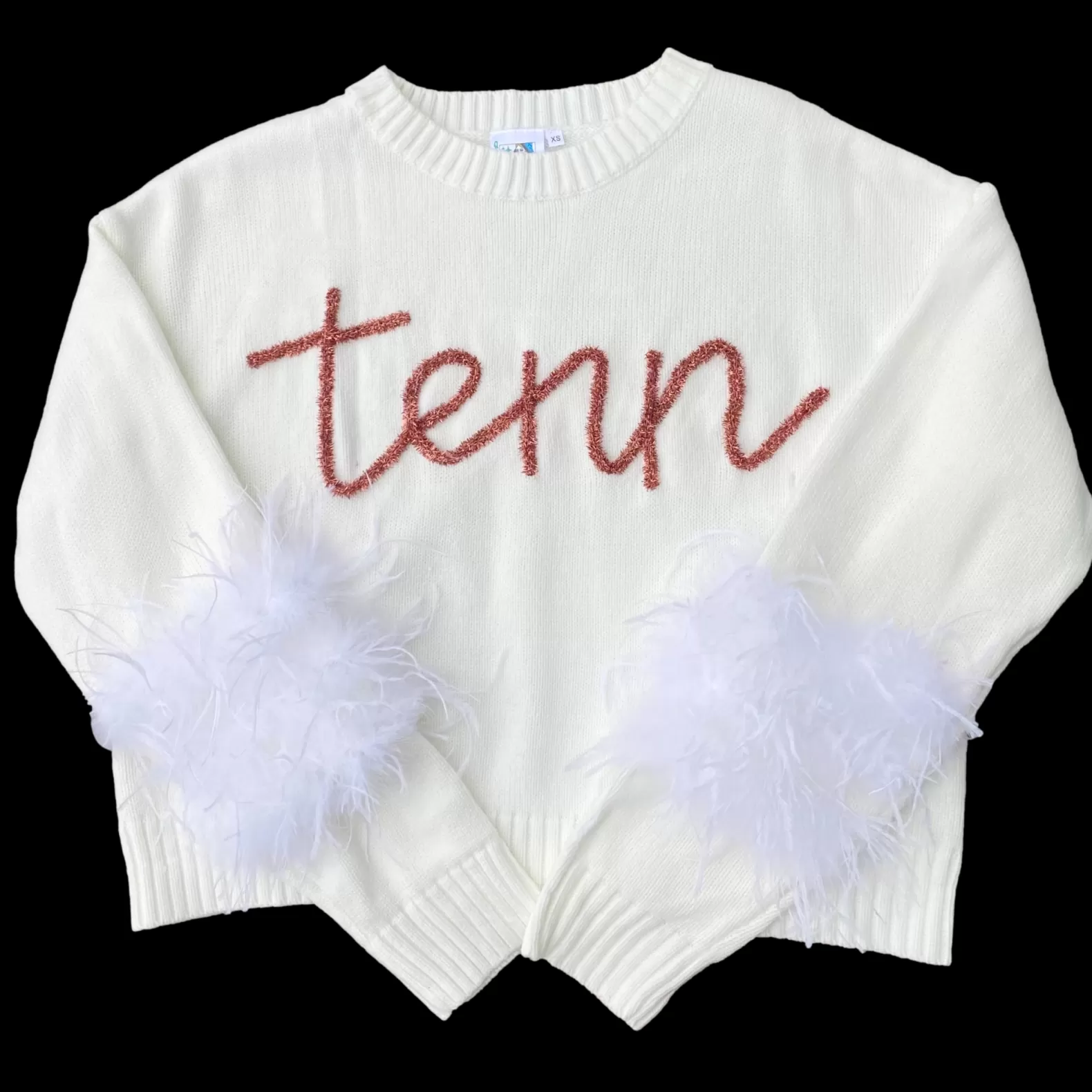 Queen of Sparkles Sweaters<“Tenn” Feather Sleeve Sweater