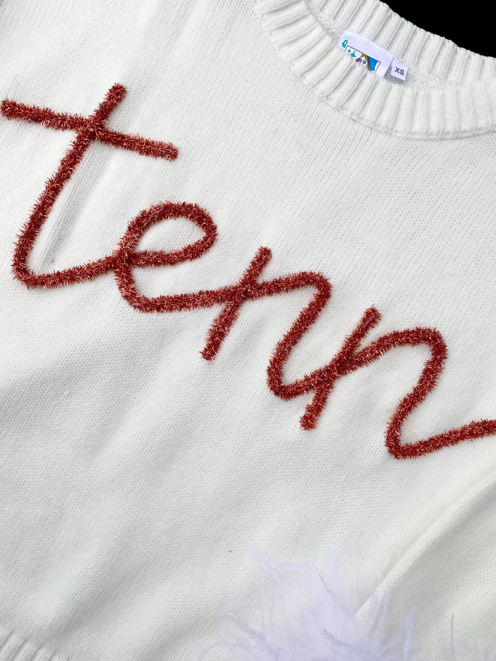 Queen of Sparkles Sweaters<“Tenn” Feather Sleeve Sweater